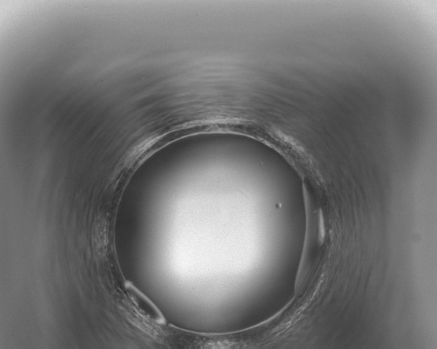 X0000054421169200508051758