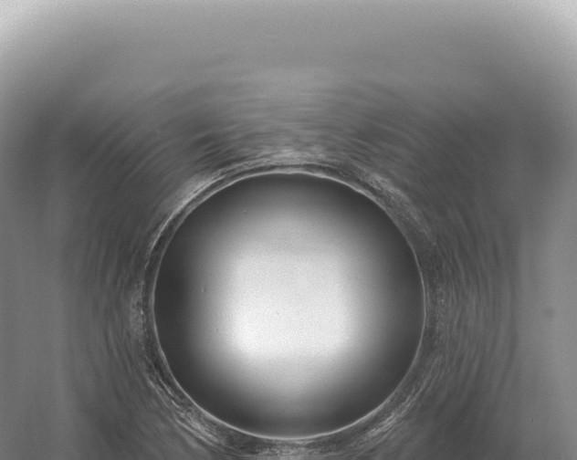 X0000054421170200508051758