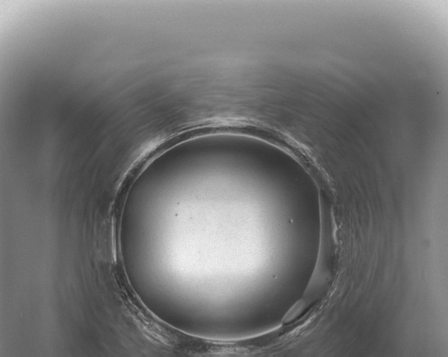 X0000054421171200508051758