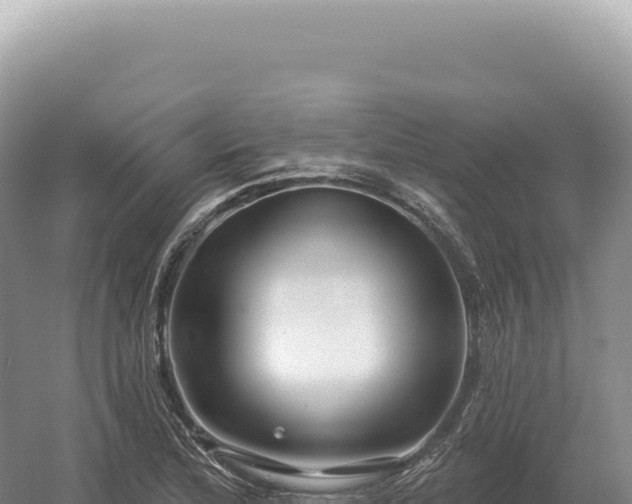 X0000054421172200508051758