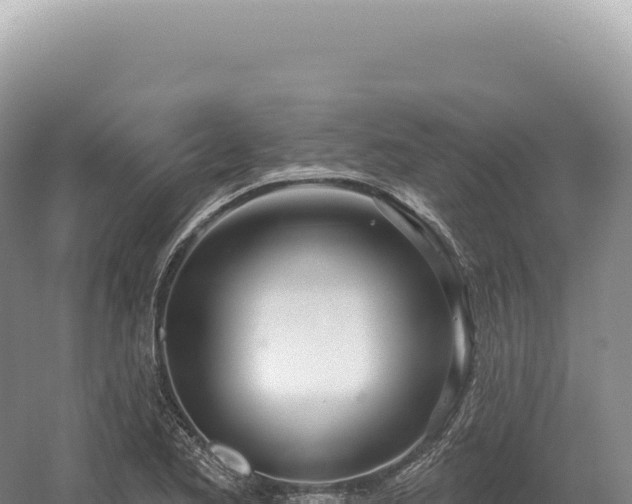 X0000054421173200508051758