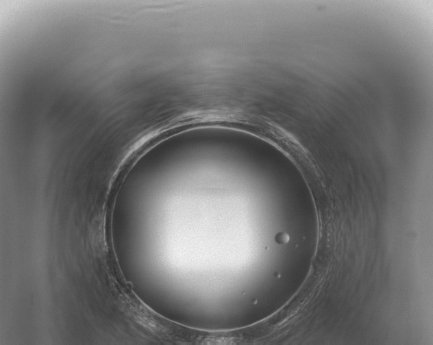 X0000054421174200508051758