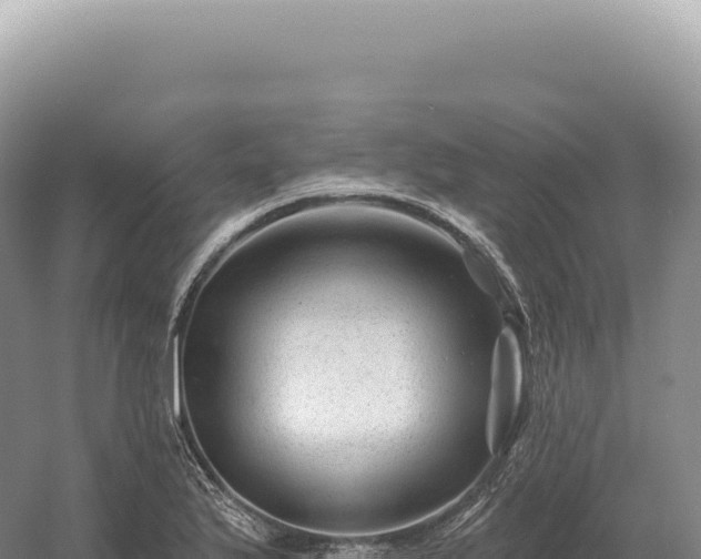 X0000054421175200508051758