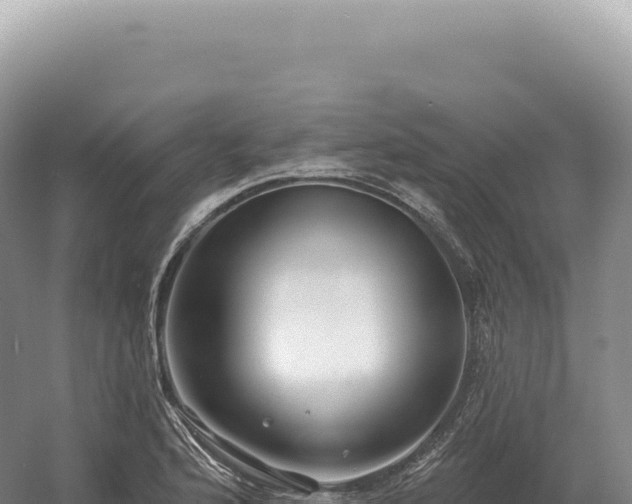 X0000054421176200508051758