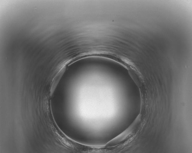 X0000054421177200508051758