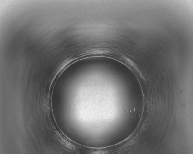 X0000054421178200508051758