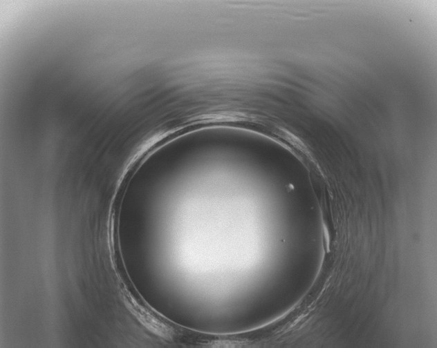 X0000054421179200508051758