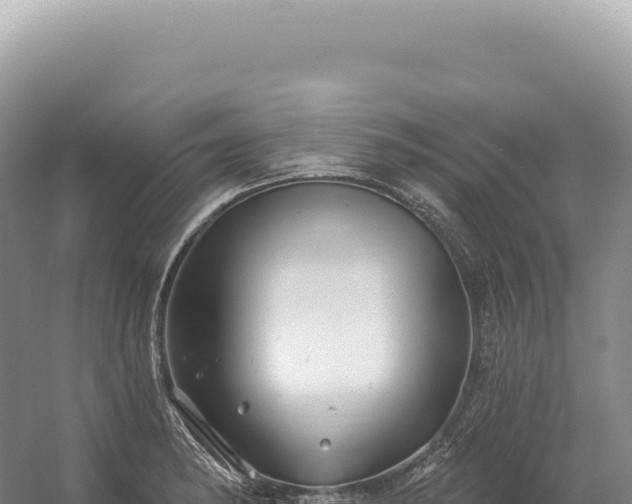 X0000054421182200508051758