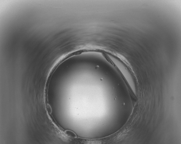 X0000054421183200508051758