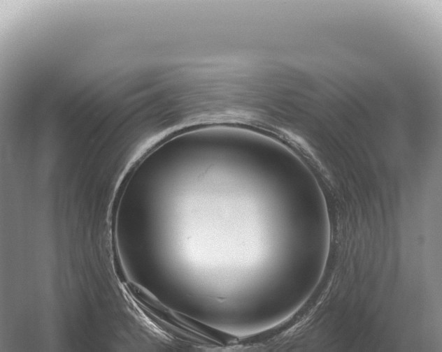 X0000054421184200508051758