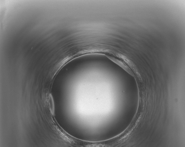 X0000054421185200508051758