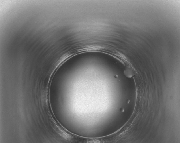 X0000054421186200508051758