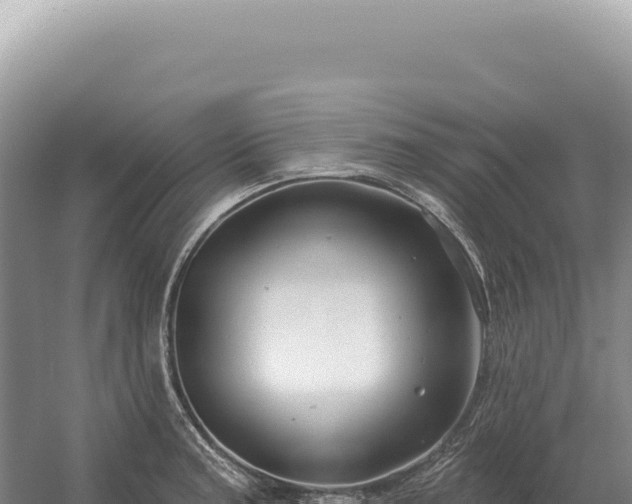 X0000054421187200508051758