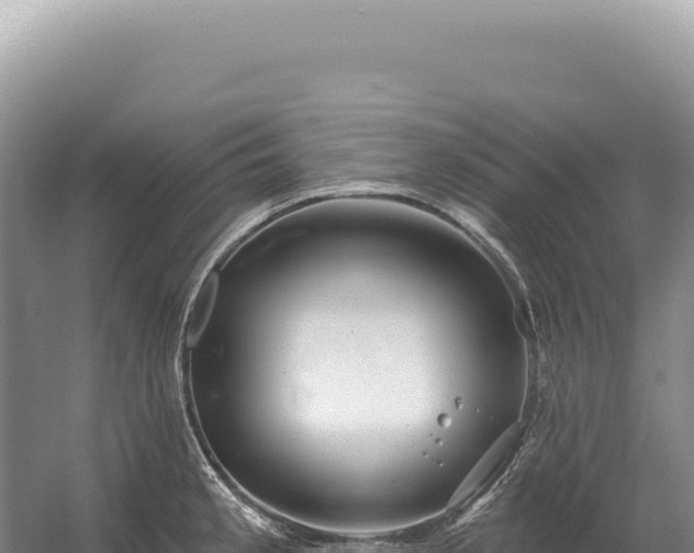 X0000054421189200508051758