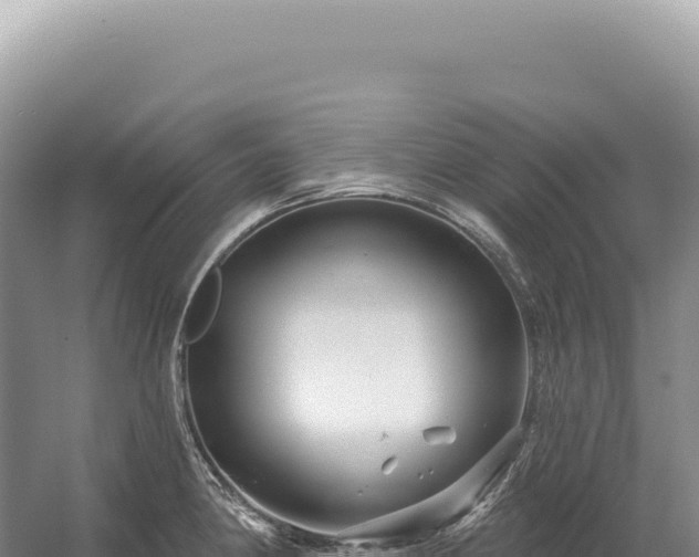 X0000054421190200508051758