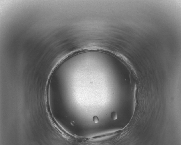 X0000054421191200508051758