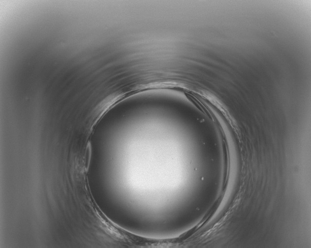 X0000054421193200508051758