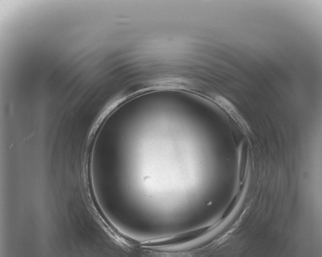 X0000054421196200508051758