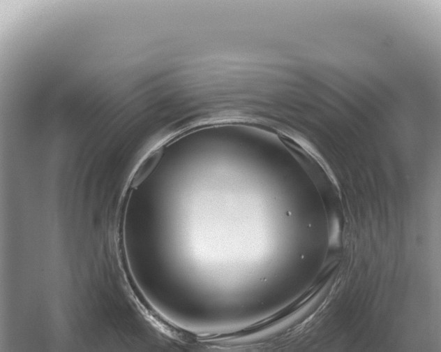 X0000054421197200508051757