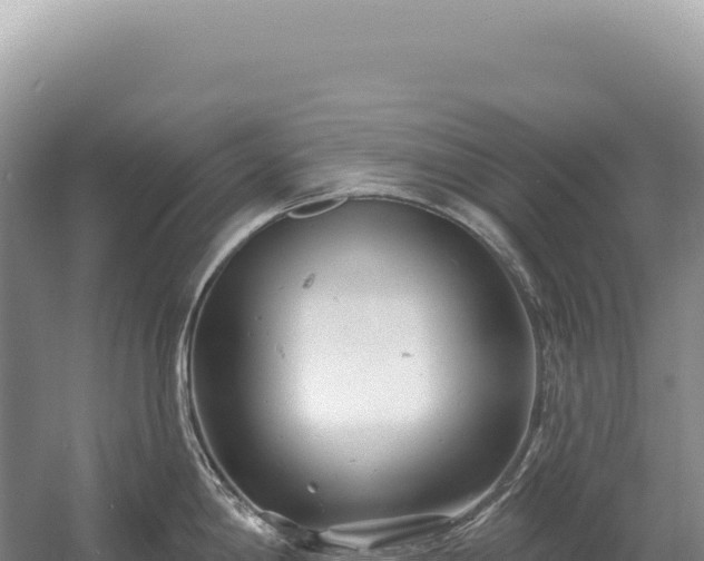 X0000054421198200508051757