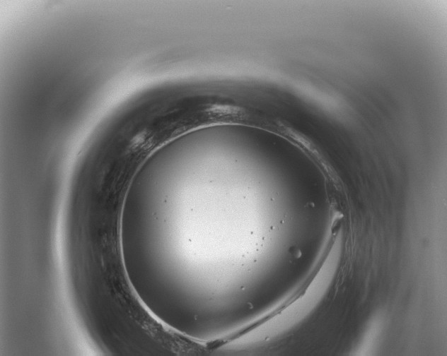 X0000054421199200508051757