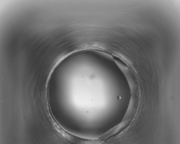 X0000054421200200508051757