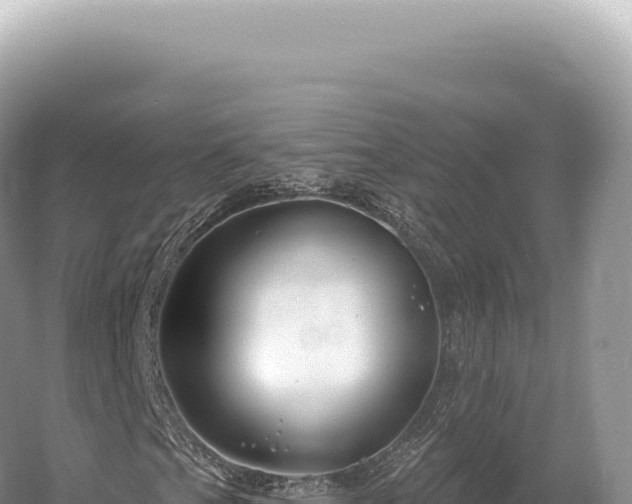 X0000054421201200508051757