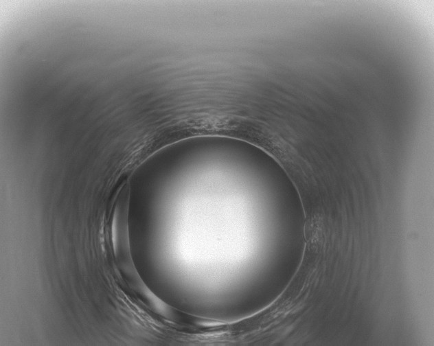 X0000054421202200508051757