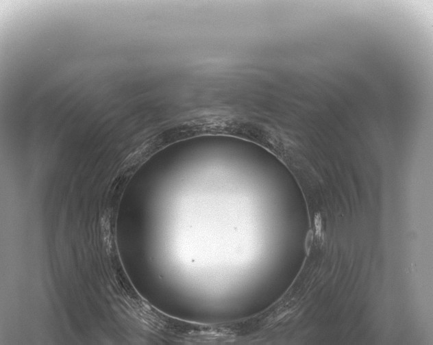 X0000054421203200508051757