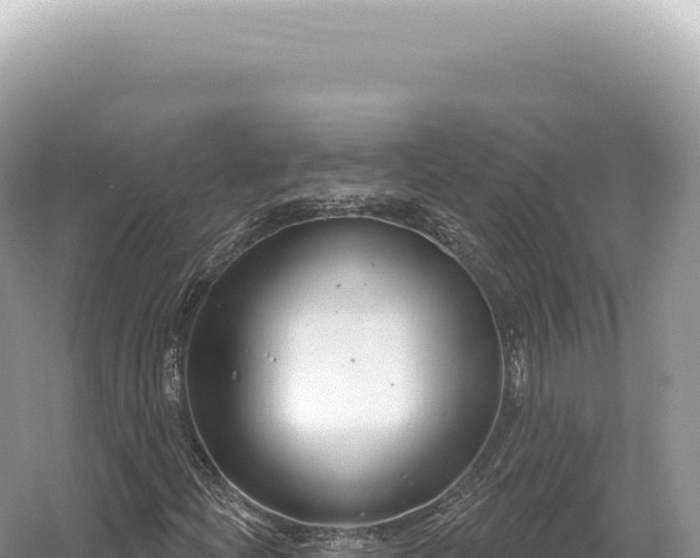 X0000054421204200508051757