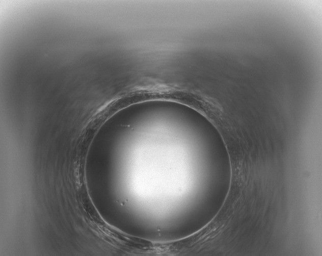 X0000054421205200508051757