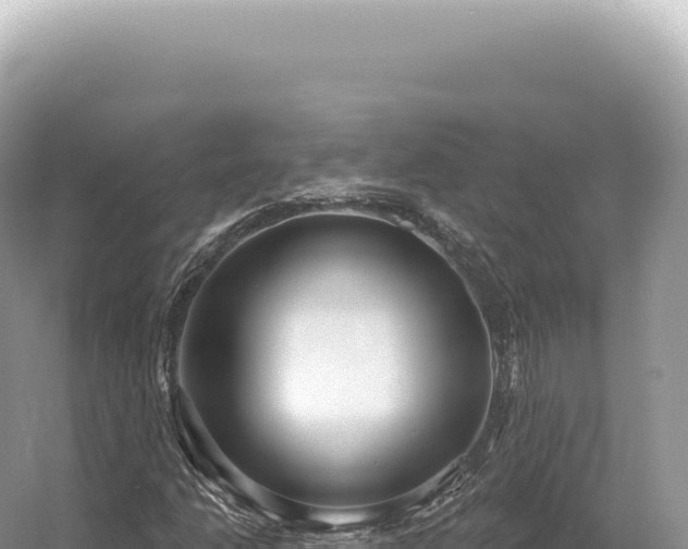 X0000054421206200508051757