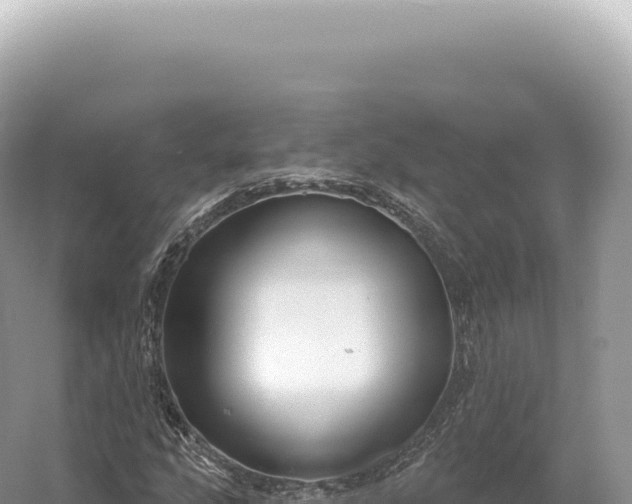 X0000054421207200508051757