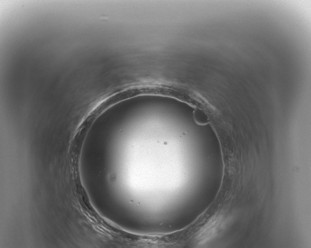 X0000054421208200508051757