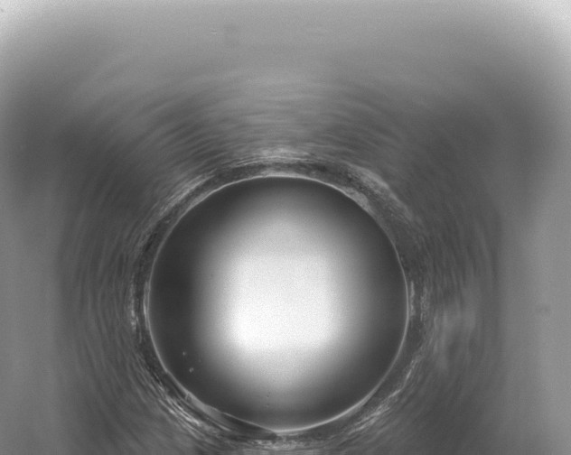 X0000054421209200508051757