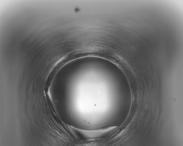 X0000054421210200508051757