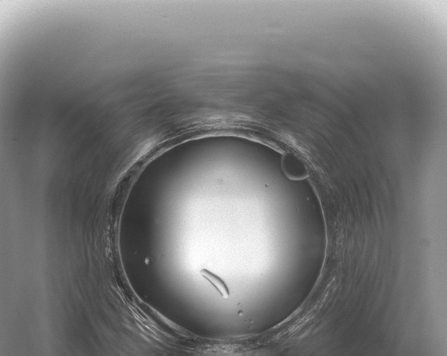 X0000054421211200508051757