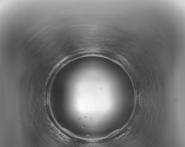 X0000054421212200508051757