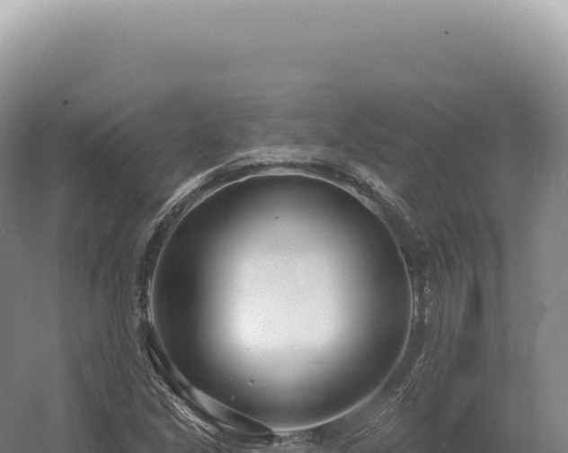 X0000054421213200508051757