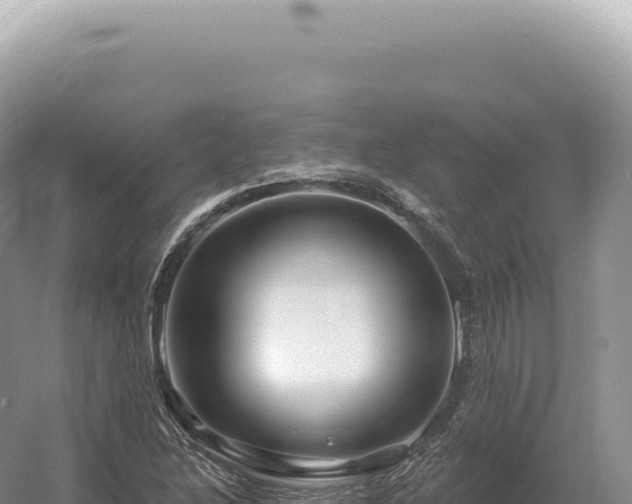 X0000054421214200508051757