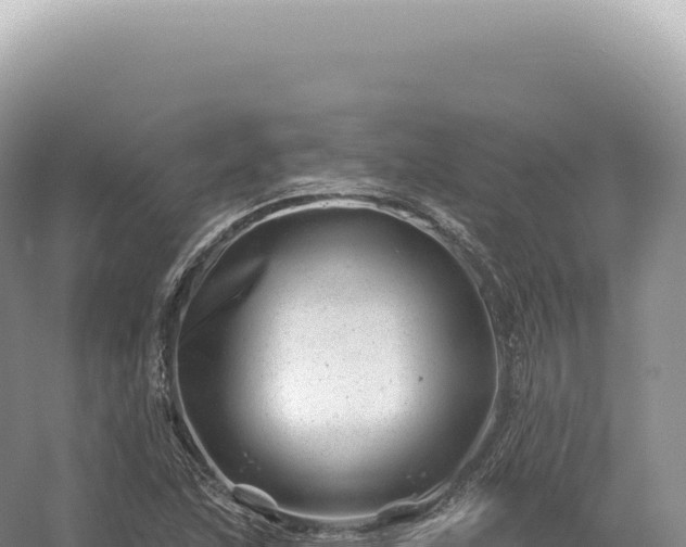 X0000054421215200508051757