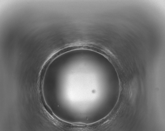 X0000054421216200508051757