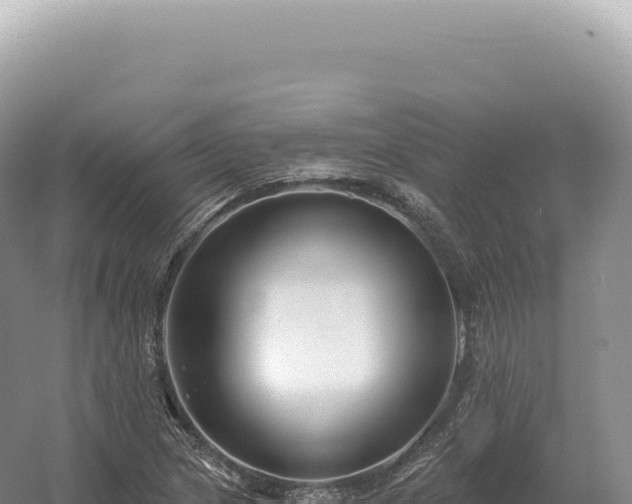 X0000054421217200508051757