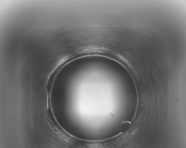 X0000054421219200508051757