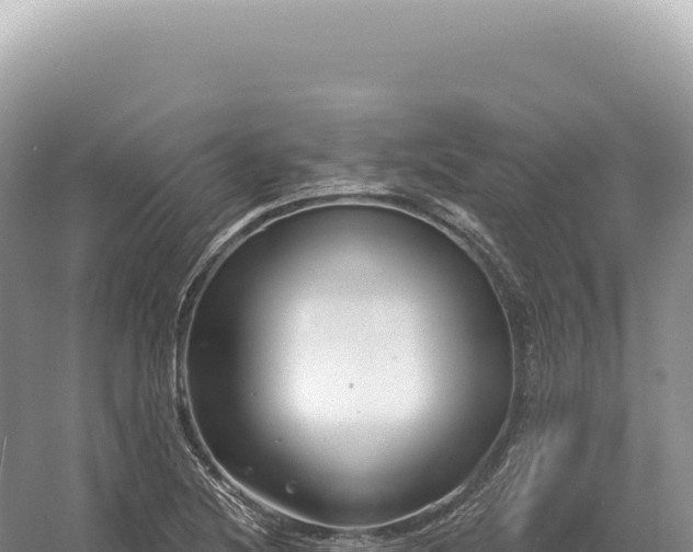 X0000054421220200508051757