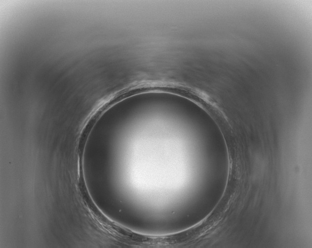 X0000054421221200508051757