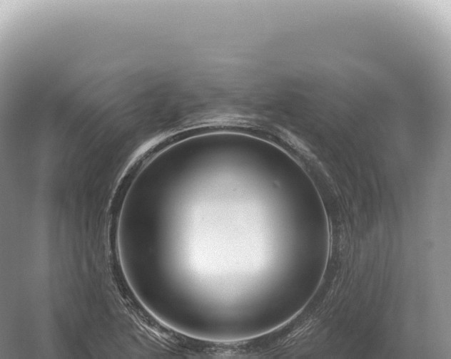 X0000054421222200508051757