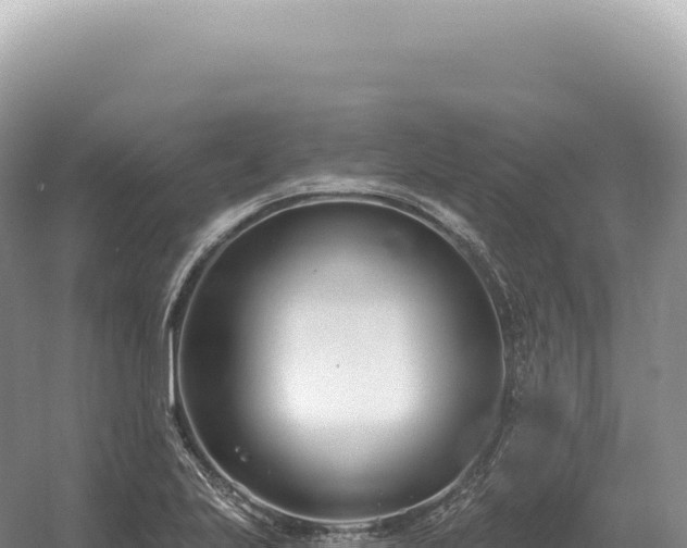 X0000054421223200508051757