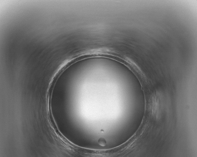 X0000054421224200508051757