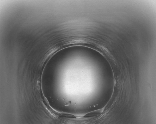 X0000054421225200508051757